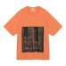 画像1: C.E (MD Eternal IIIusion T) ORANGE (1)