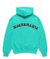 画像1: WACKO MARIA (MIDDLE WEIGHT PULLOVER HOODED SWEAT SHIRT TYPE-2) TURQUOISE (1)