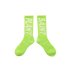 画像1: SAINT Mxxxxxx (CP_SOCKS SNT PLANT) LIME (1)