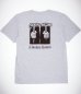 画像1: FUCKING AWESOME (A Broken System Short Sleeve Tee) H.GREY (1)